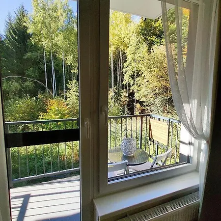 Grun Wald Apartment