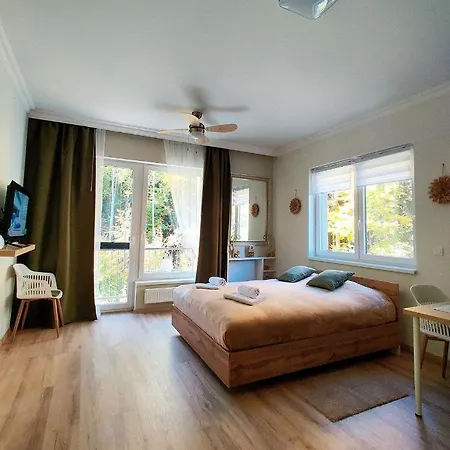 Grun Wald Apartment